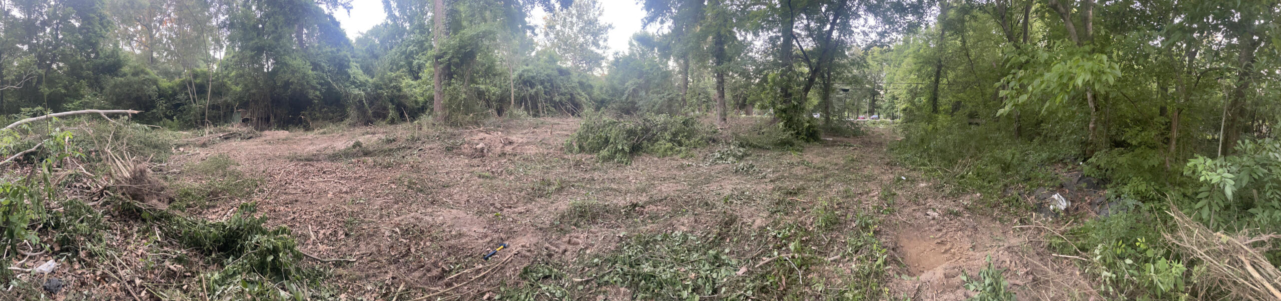 206 Cedars of Lebanon 206 Cedars of Lebanon