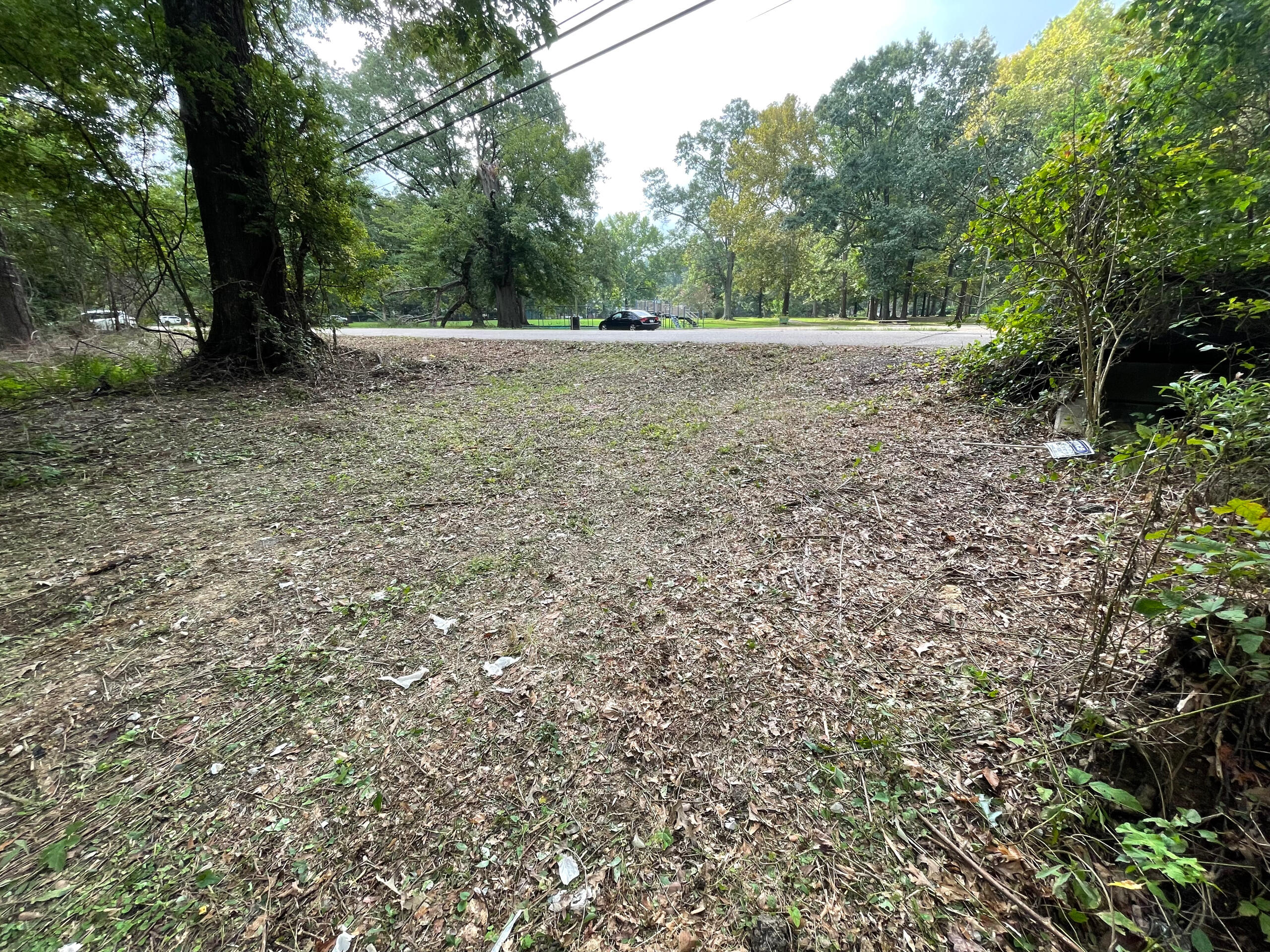 206 Cedars of Lebanon, Jackson, MS Panoramic View