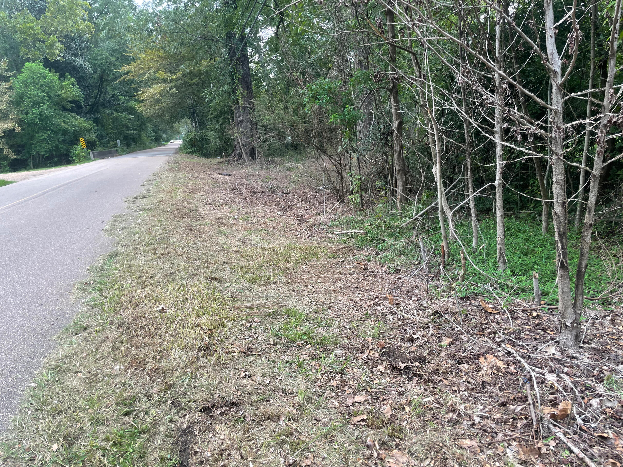 206 Cedars of Lebanon, Jackson, MS Panoramic View